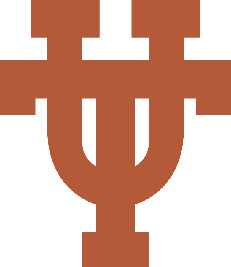 Texas Longhorns 2019-Pres Alternate Logo DIY iron on transfer (heat transfer)